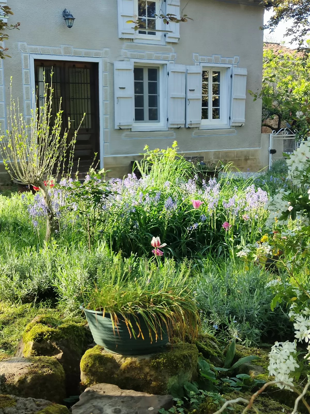Chambre d'hôtes Maison Jouanelle 