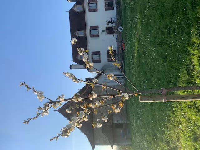 Chambre d'hôtes La Poésie